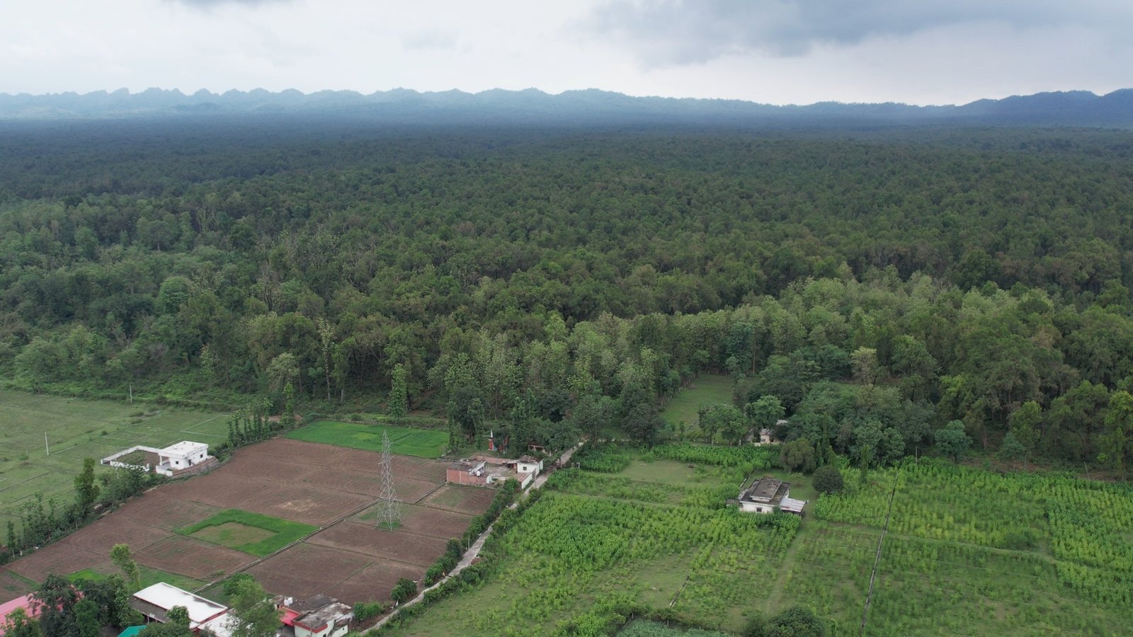 Near Rajaji National Park